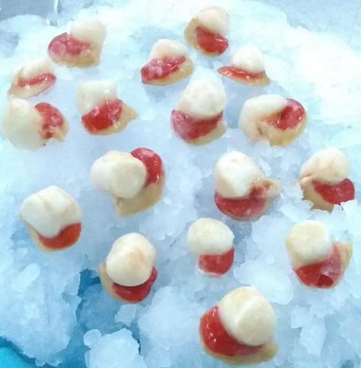 Scallops